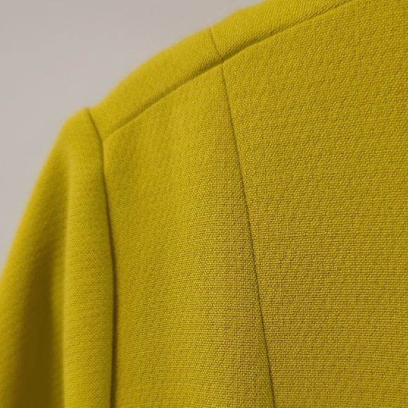 Caroline Biss Dress Chartruese Belted Tailored size 38 - Picture 8 of 13